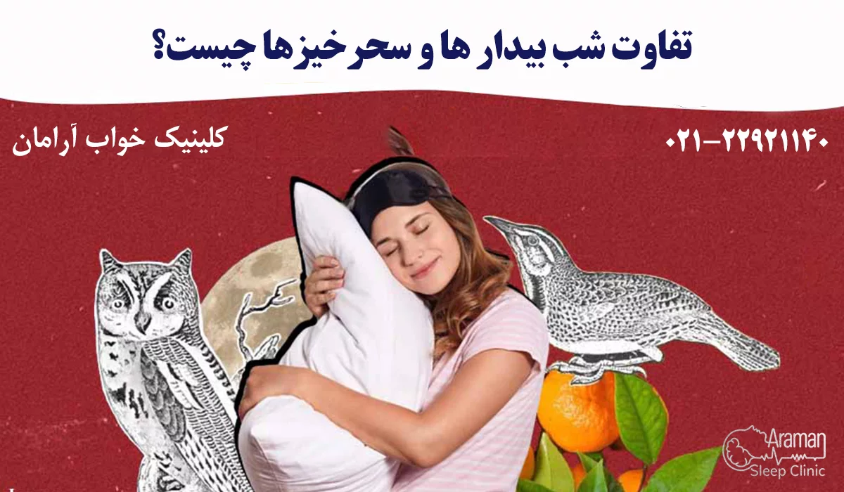 تفاوت شب بیدار ها و سحرخیزها